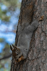 Similar image 21820064