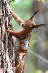 Similar image 21820066