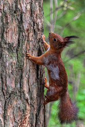 Similar image 21820067