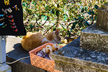 Similar image 21825695