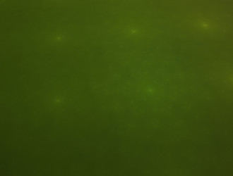 Similar image 21825387