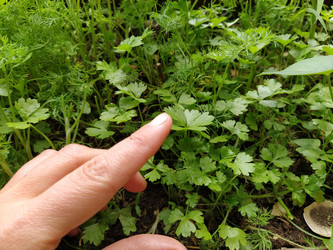 Similar image 21818264