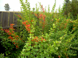 Similar image 21819292