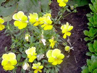 Similar image 21819295