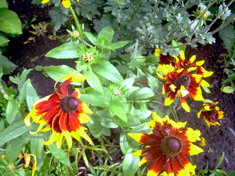 Similar image 21819298