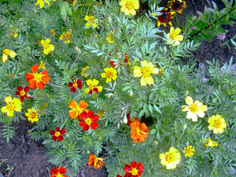 Similar image 21819300