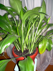 Similar image 21819303