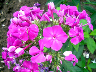 Similar image 21819305