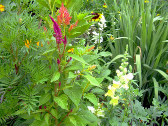 Similar image 21819306