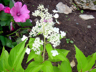 Similar image 21819307