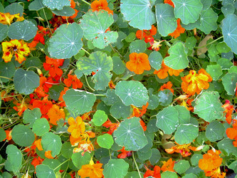 Similar image 21819308