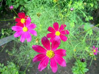 Similar image 21819310