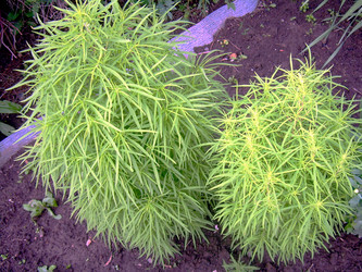 Similar image 21819311