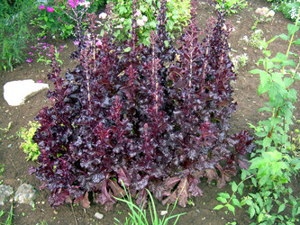 Similar image 21819312