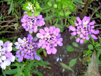 Similar image 21819313