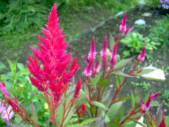 Similar image 21819314