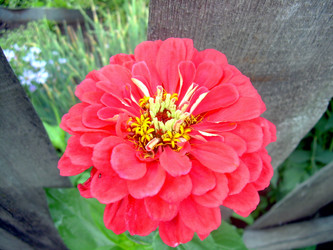 Similar image 21819316