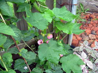 Similar image 21819317