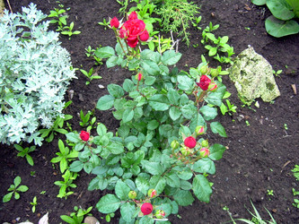 Similar image 21819318