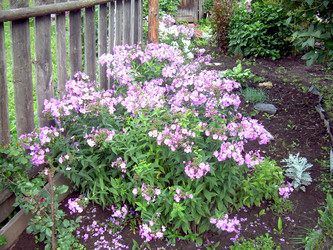 Similar image 21819319