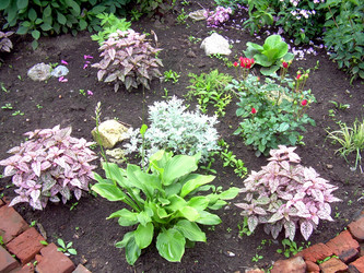 Similar image 21819320