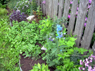 Similar image 21819321