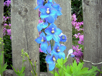 Similar image 21819322