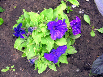 Similar image 21819323