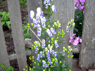 Similar image 21819324