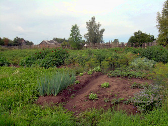 Similar image 21819325