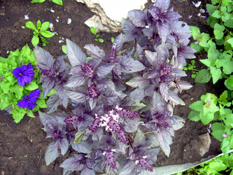 Similar image 21819326