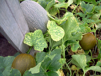 Similar image 21819327