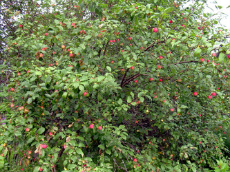 Similar image 21819330