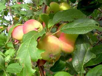 Similar image 21819332