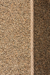 Similar image 21818427