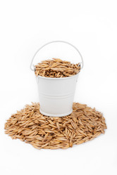 Similar image 21818453