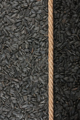 Similar image 21818466