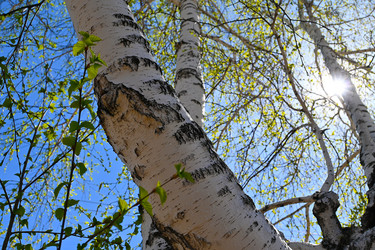 Similar image 21818269