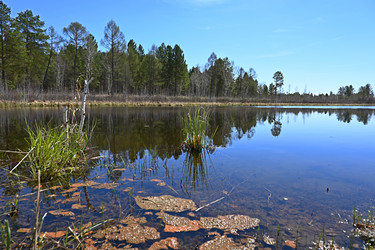 Similar image 21818270