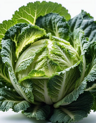 Similar image 21818274