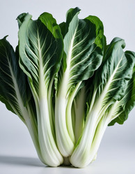 Similar image 21818276