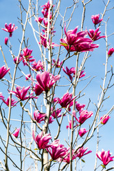 Similar image 21820490