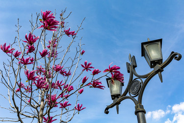 Similar image 21820493