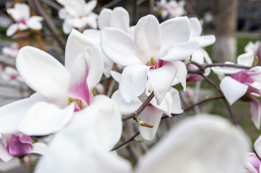 Similar image 21820508