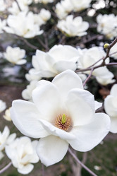 Similar image 21820511