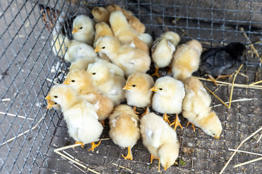 Similar image 21820518