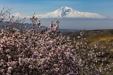 Similar image 21820528