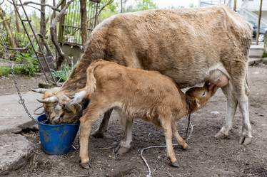 Similar image 21820531