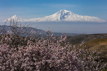 Similar image 21820532