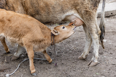 Similar image 21820533